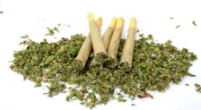 Pre-Rolls category image