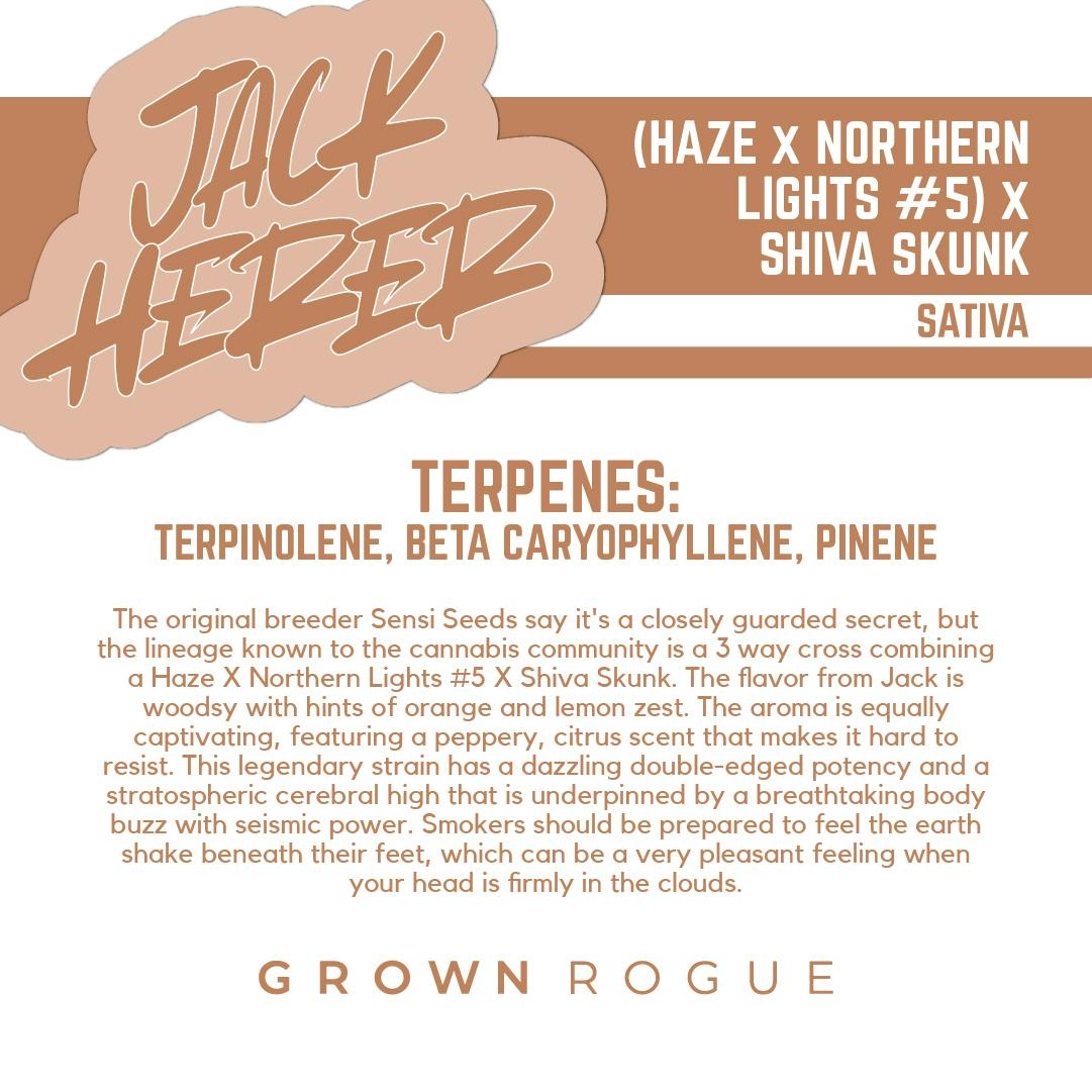 Grown Rogue | Jack Herer | Pre-Roll Pack-1