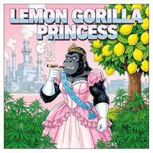 DELI - Lemon Gorilla Princess