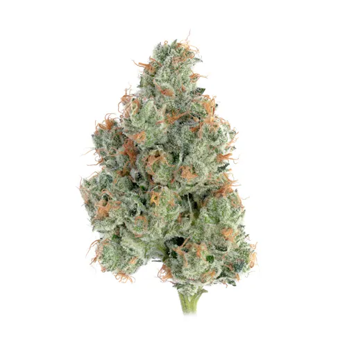 Sugar Shack 5 (S) – (3.5g)-1