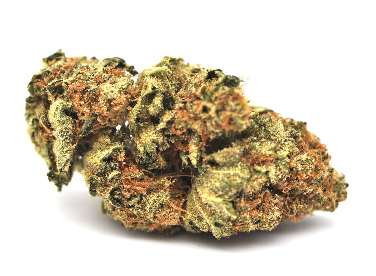 Image of Critical Orange Punch | 1g House Flower