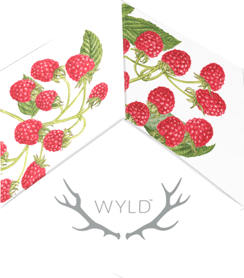 Wyld | Raspberry Sativa Gummies-1