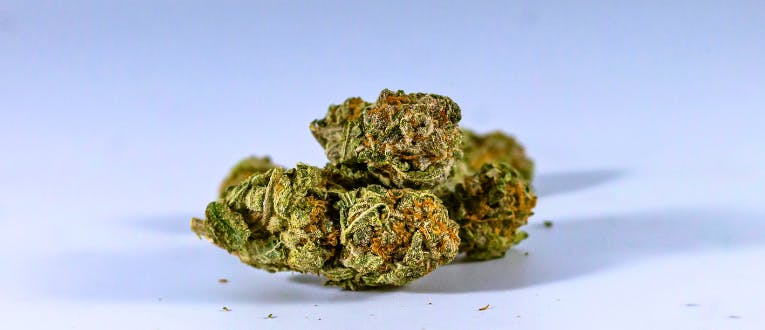 Product: Gym Bag | 1oz | Pre-Packed | Dragonfly