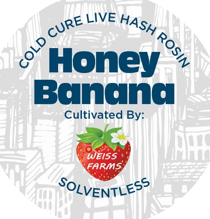 Honey Banana Cold Cured Hash Rosin | Nyce