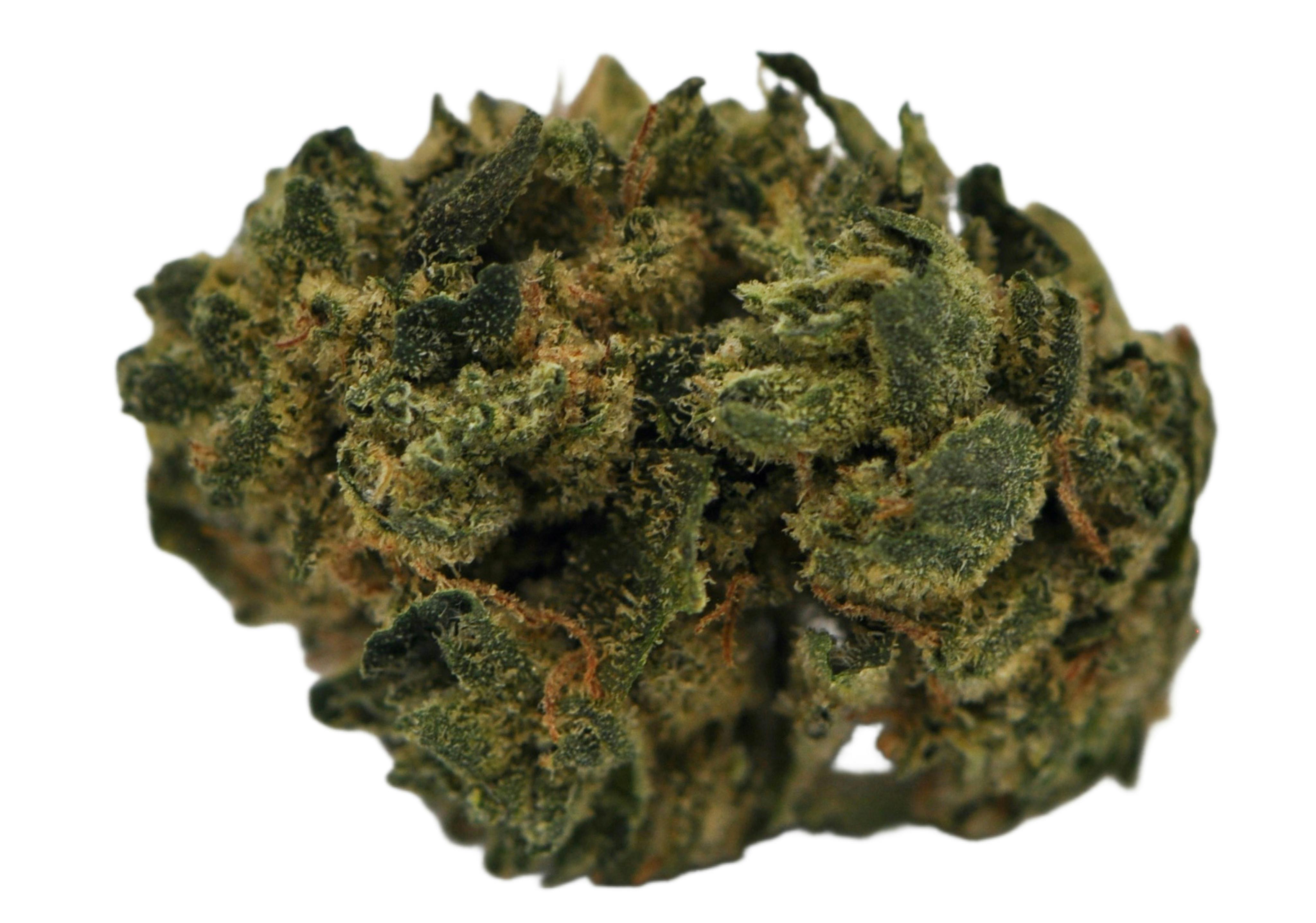 image of Oakland Piff | 3.5g Prepackaged Flower