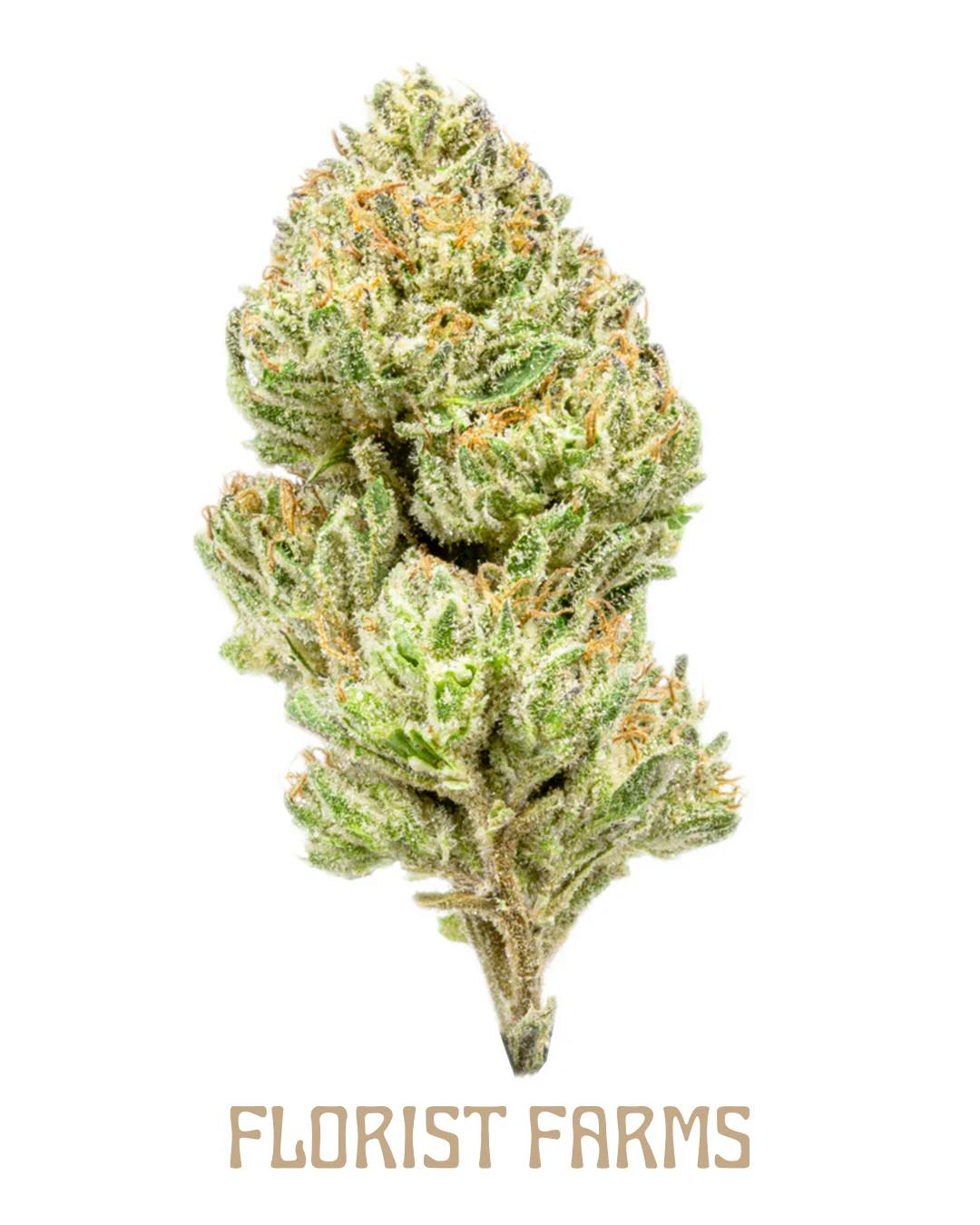Florist Farms Jealousy | Flower - Strain Stars Cannabis Dispensary