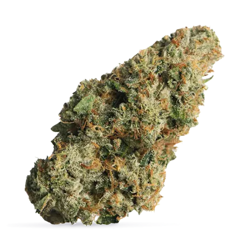 Proper Cannabis | Louis XIII OG-active