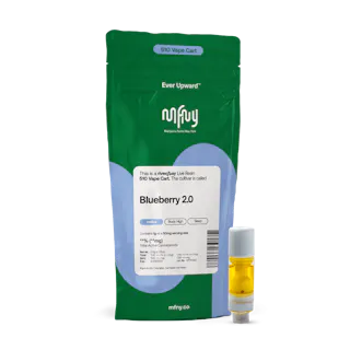 Blueberry 2.0 Live Resin 510 Cart | 1g
