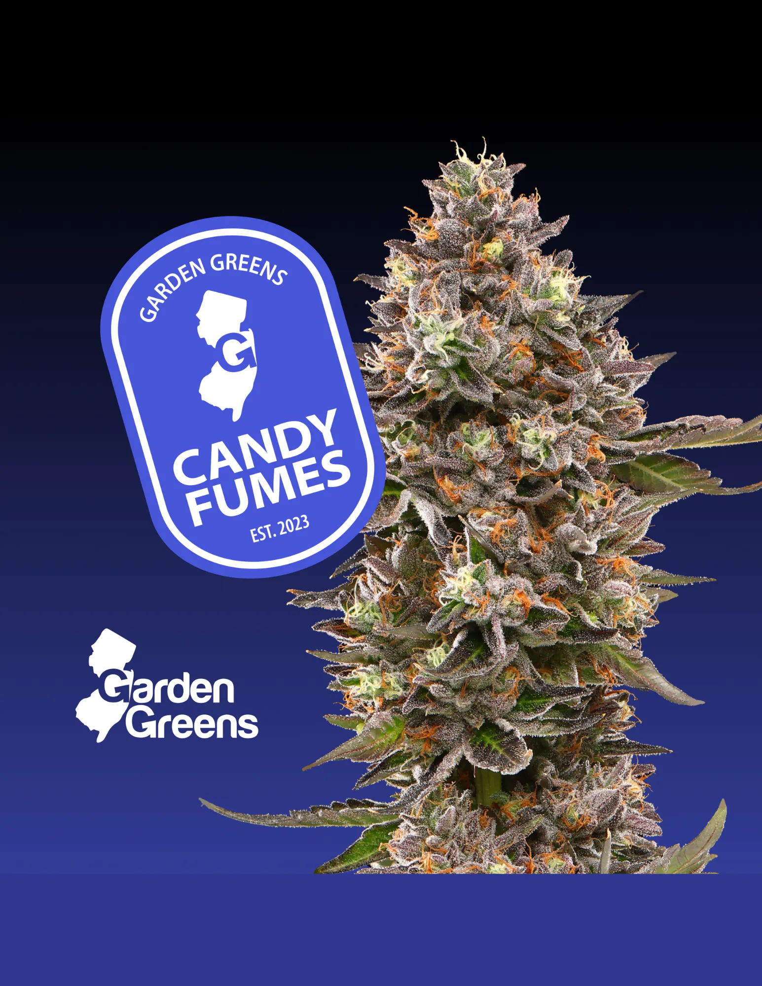 candy♡ CANDY CANTALOUPE | 0.5G | ORCHARD SERIES | DISPOSABLE - 0.5g