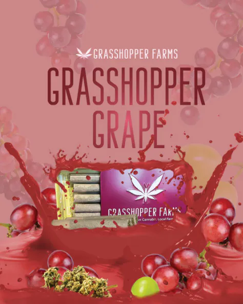 Grasshopper Grape | 1g x 5pk | Infused | Grasshopper Farms | Bloom