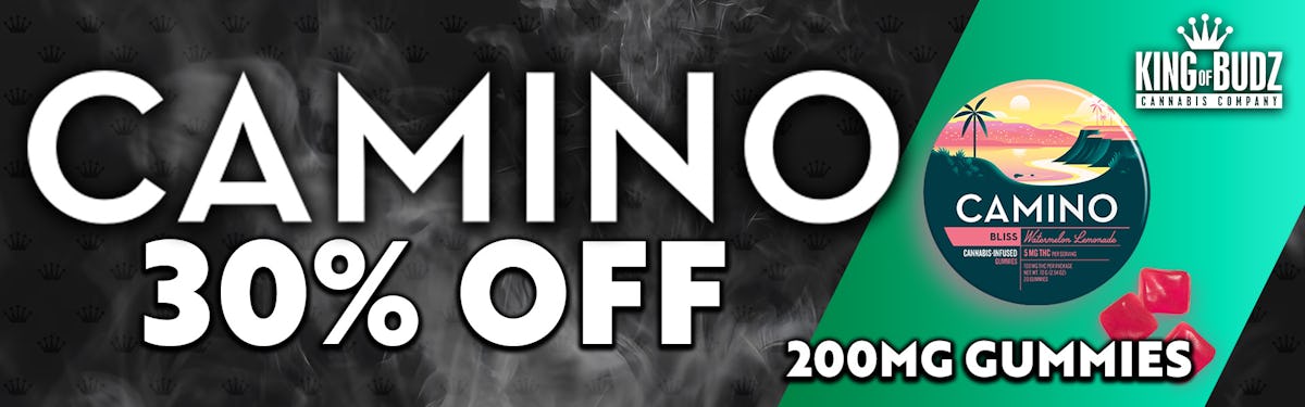 Camino - 30 Percent OFF