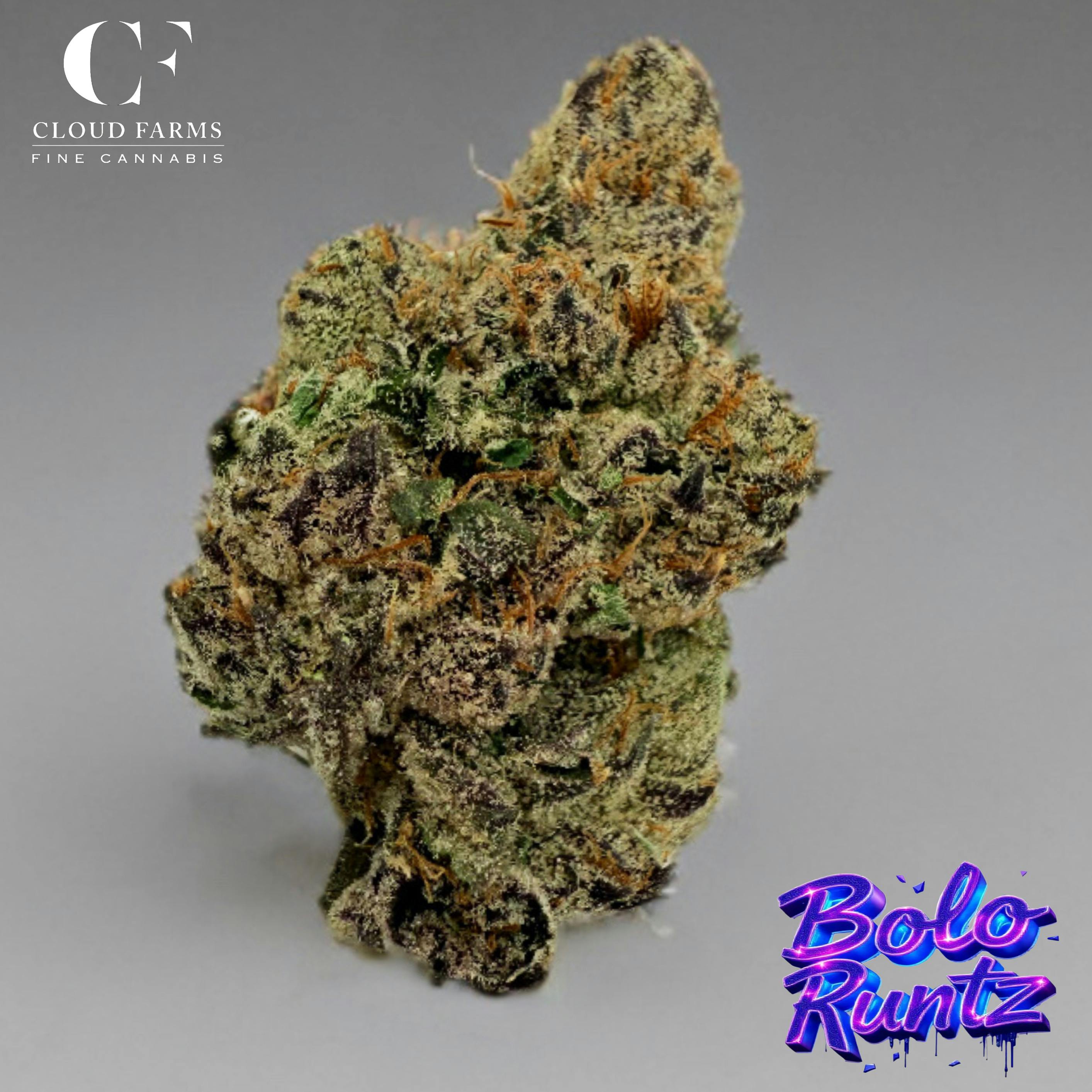Product: Cloud Farms | Bulk Bud - Bolo Runtz