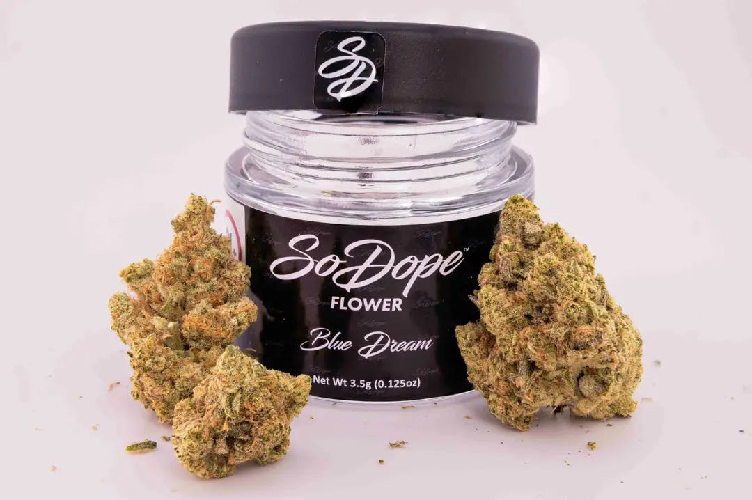 SoDope | Blue Dream | 3.5g (Premium Cannabis)