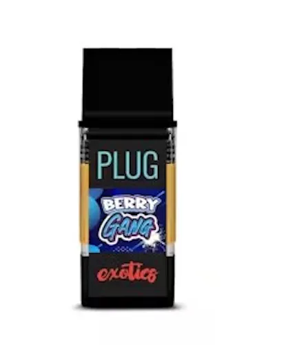 Berry Gang | Reload POD | 1g-1