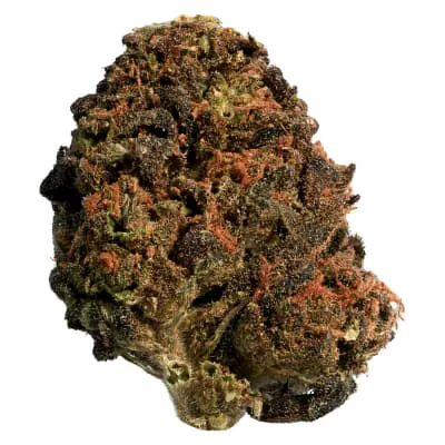 Cannabis Flower | Richmond St Famous Flower Cannabis Co