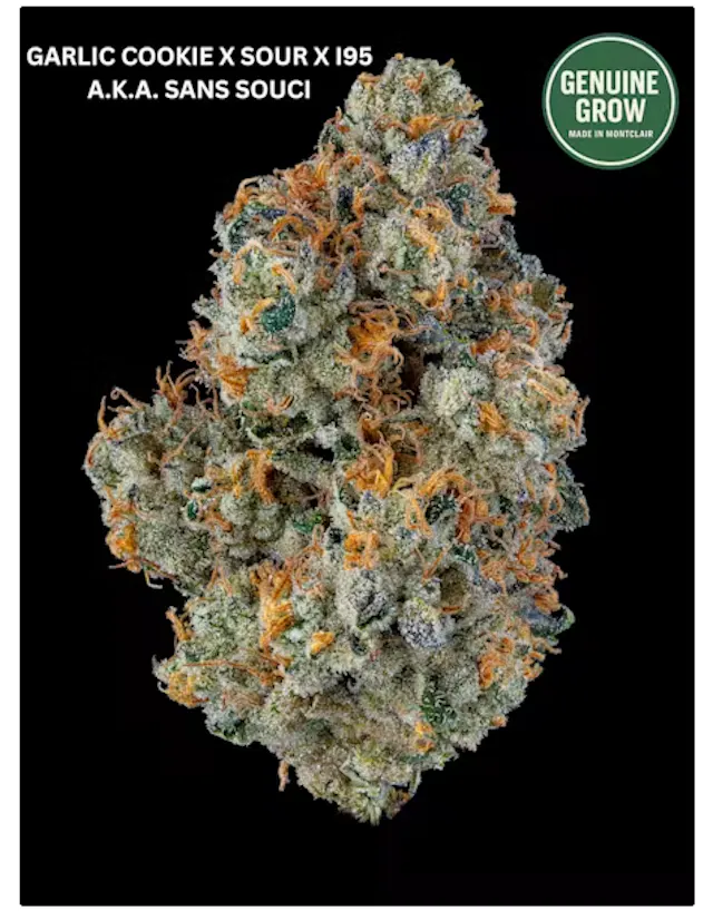 Genuine Grow Flower Sans Souci 3.5g (indica hybrid)