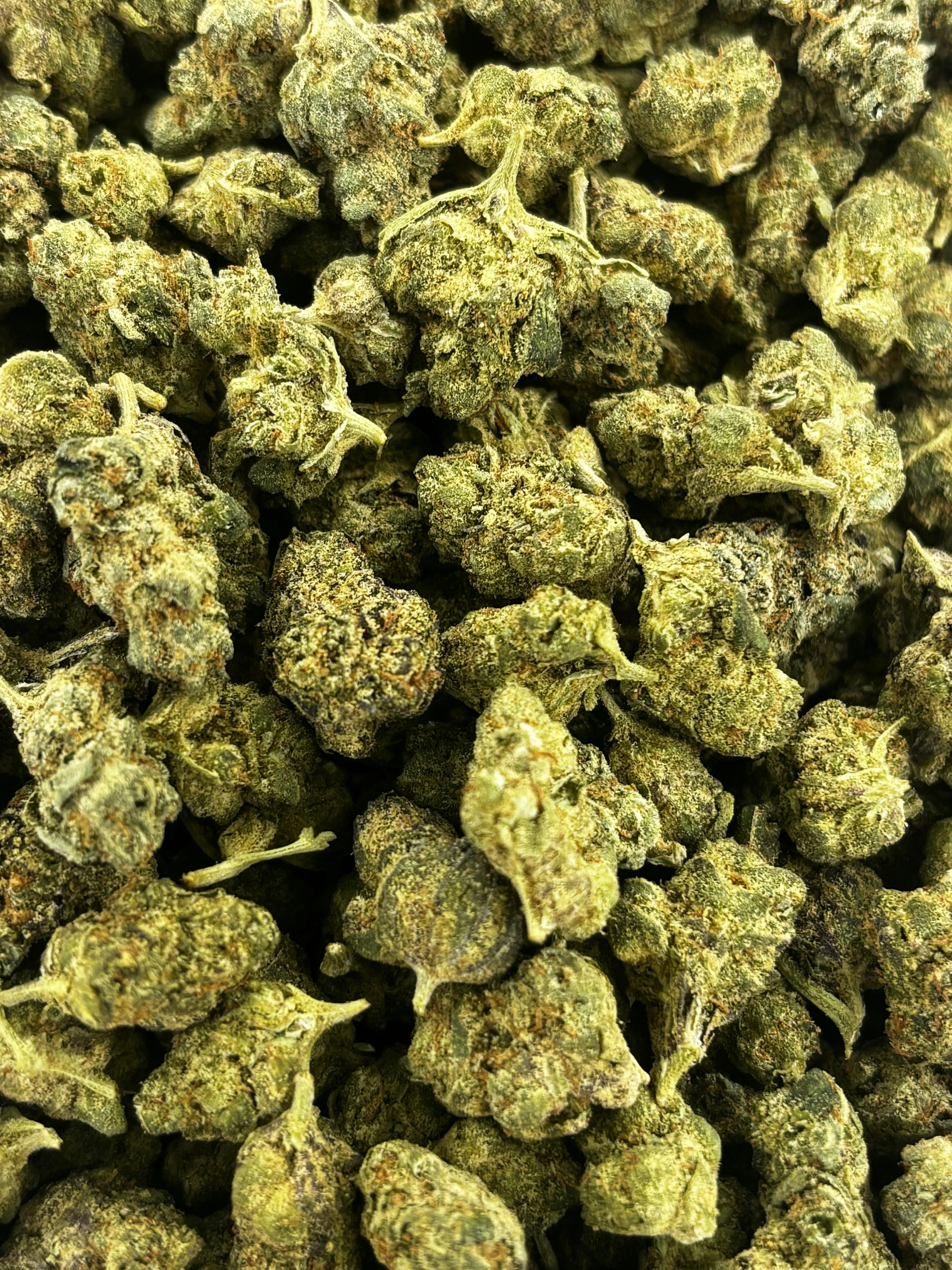 Cartel Kush | Deli Flower (Bronze)