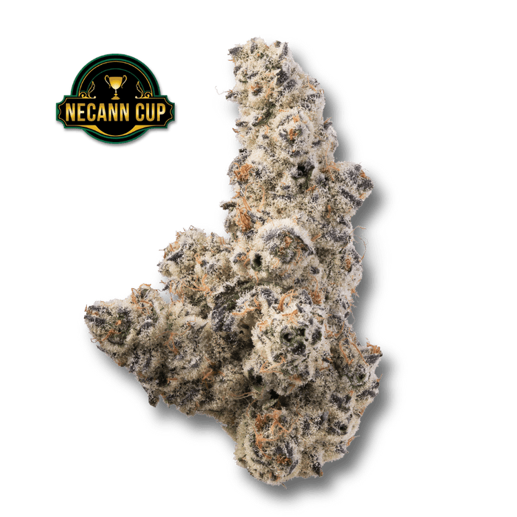 Menu - Kosa Cannabis Dispensary | Clinton & Marlborough, MA
