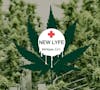 B2G1 New Lyfe Pre Roll Packs 