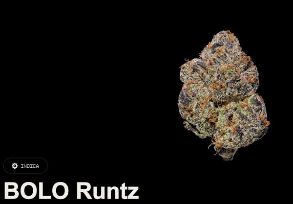 Bolo Runtz (IH) | 3.5g | Flower | 35.32 | Trp: 2.89%