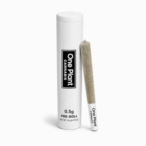 Lemon Larry Pre Roll