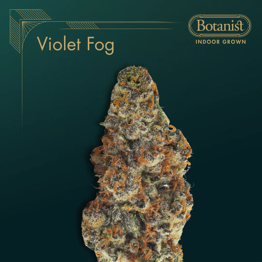 Cannabis Dispensary in Camden, New Jersey | The Botanist