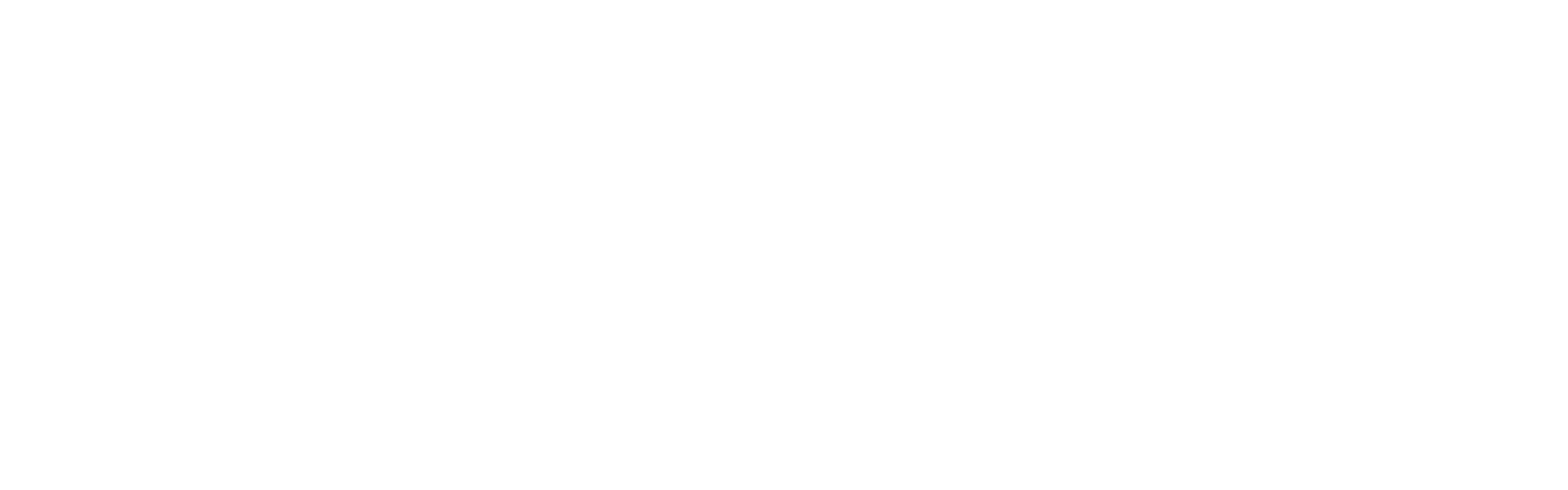 Fly - 2g Disposable - Purple Urkle