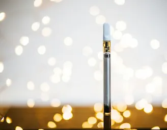 Vaporizers category image