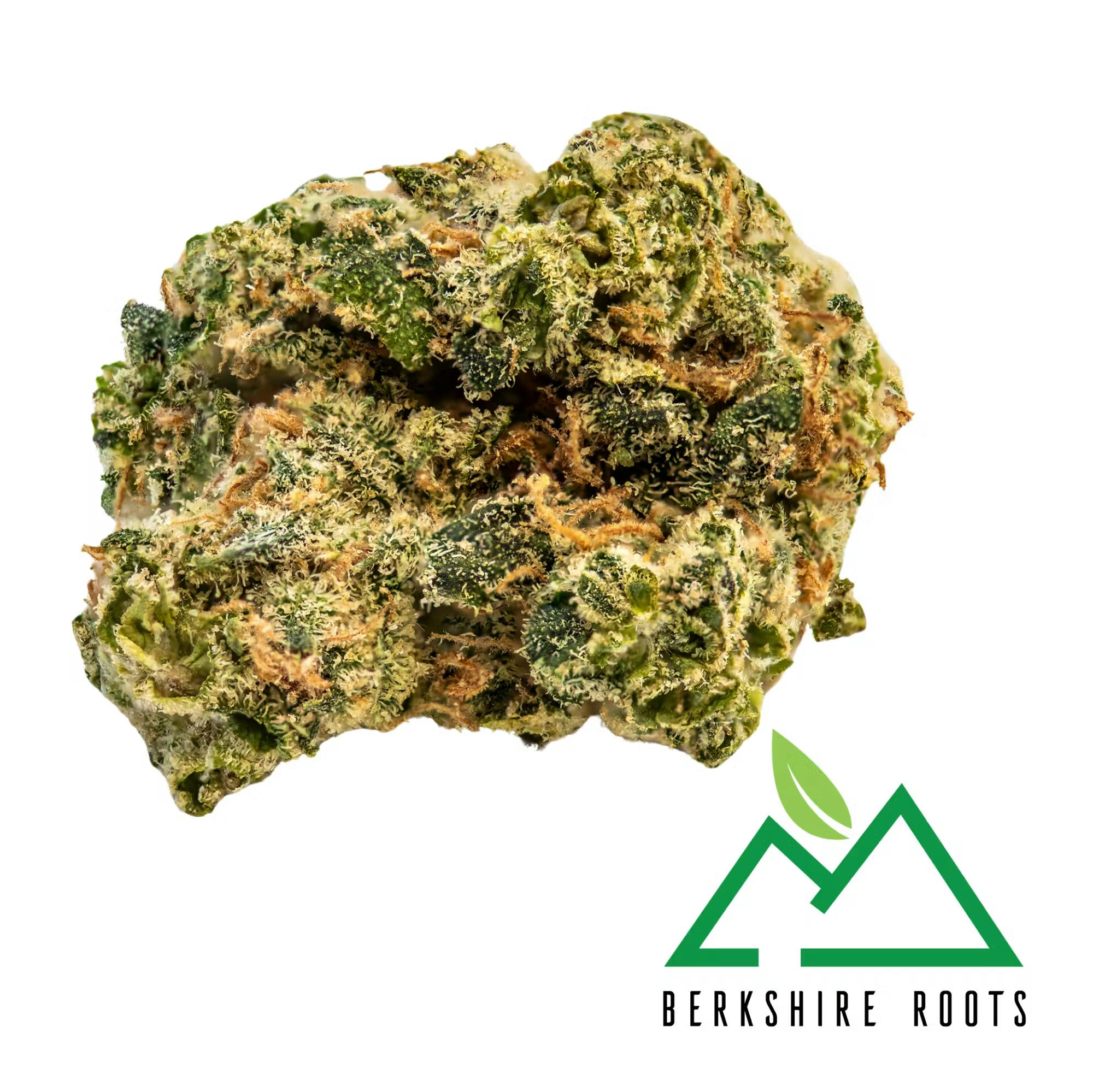 Product Snowdog (H) | Flower | 28g