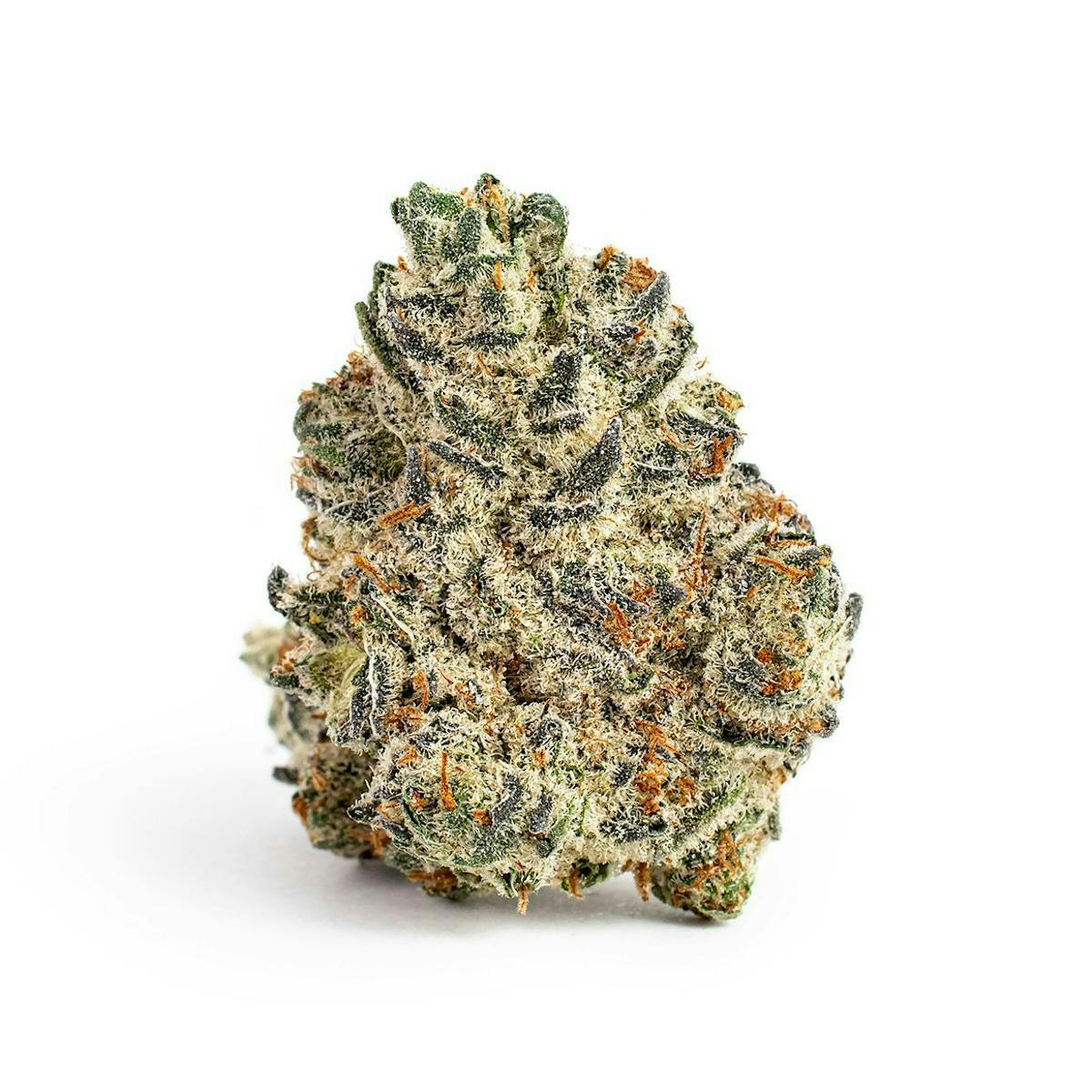 Mitten Extracts MITTEN EXTRACTS | OREOZ | BULK | HYBRID — FLOWER