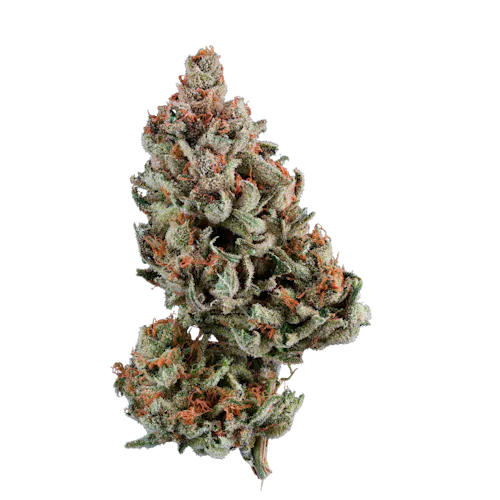 Velvet Spritz Smalls 3.5g – Grassroots (Pre-Pack)-active