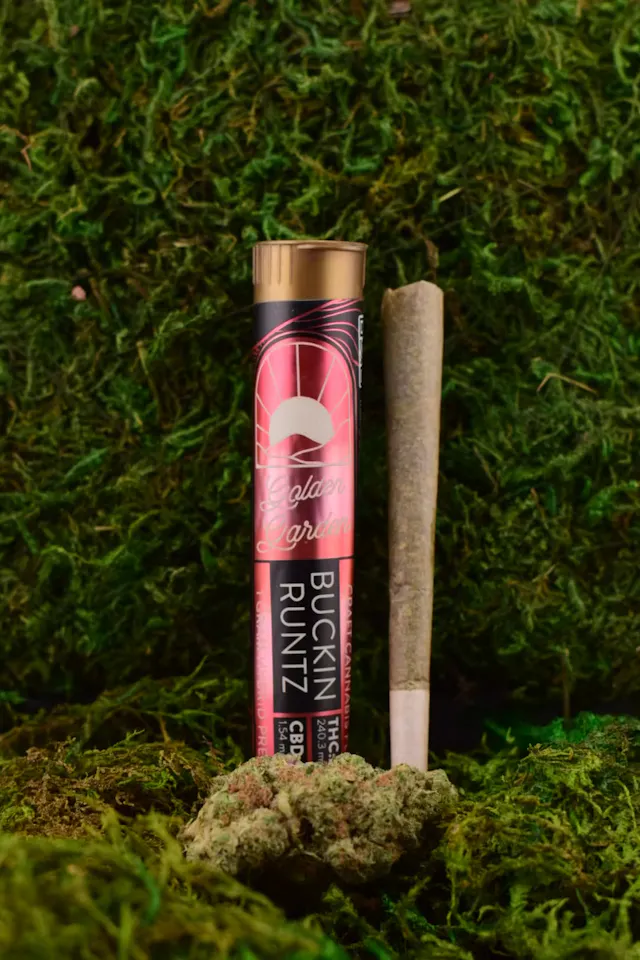 Golden Garden GOLDEN GARDEN | BUCKIN RUNTZ | 1 GRAM PRE-ROLL