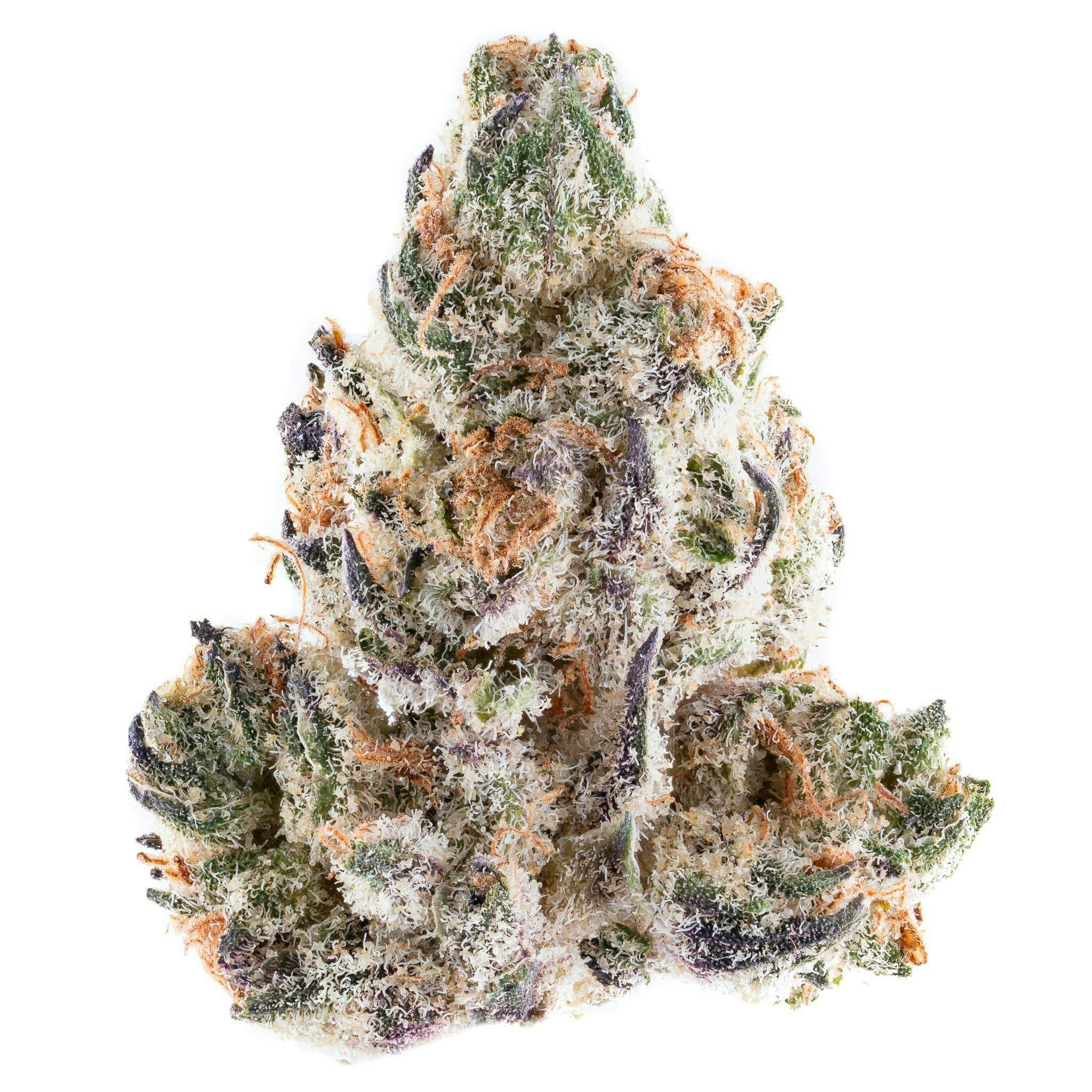 Dragonfly DRAGONFLY | JELLY RANCHER | BULK | SATIVA — FLOWER