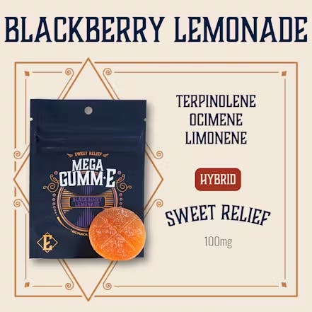 Elevate | Gummy | Blackberry Lemonade 1pk 100mg | Flora Farms