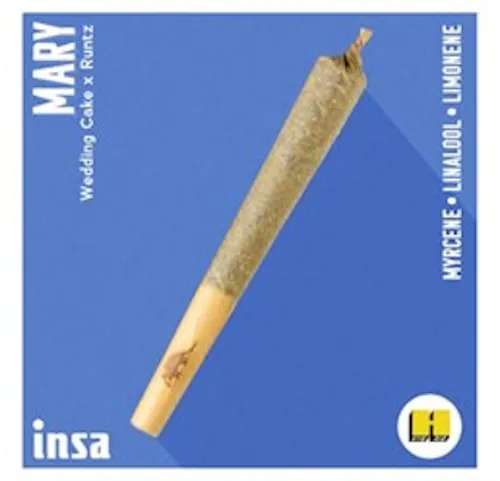 Mary Pre-Roll-1