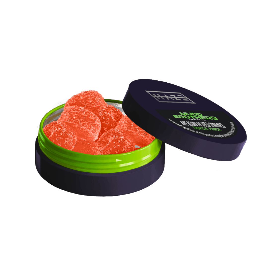 Haze X Mudd Brothers Tropical Punch Live Rosin Gummies 10mg 10pk