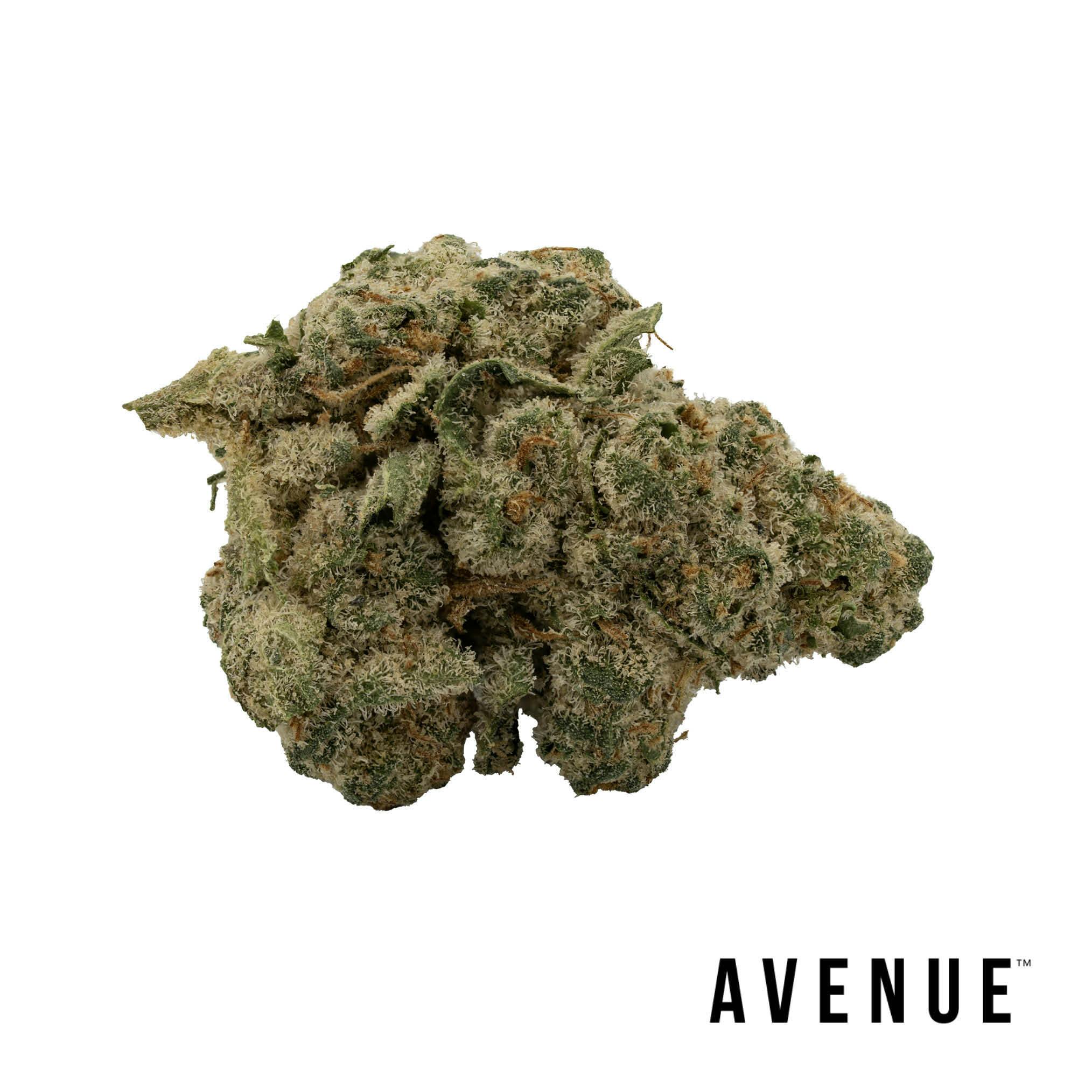 lemon✴︎ AVENUE: Watermelon Z x Lemon Tree Flower | Trulieve