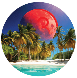 Planet 13 Bradenton | Shop Cannabis Online