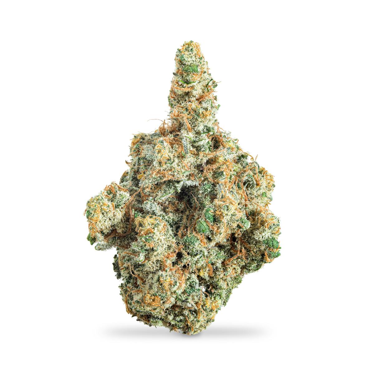 Photo of Silver Bullet