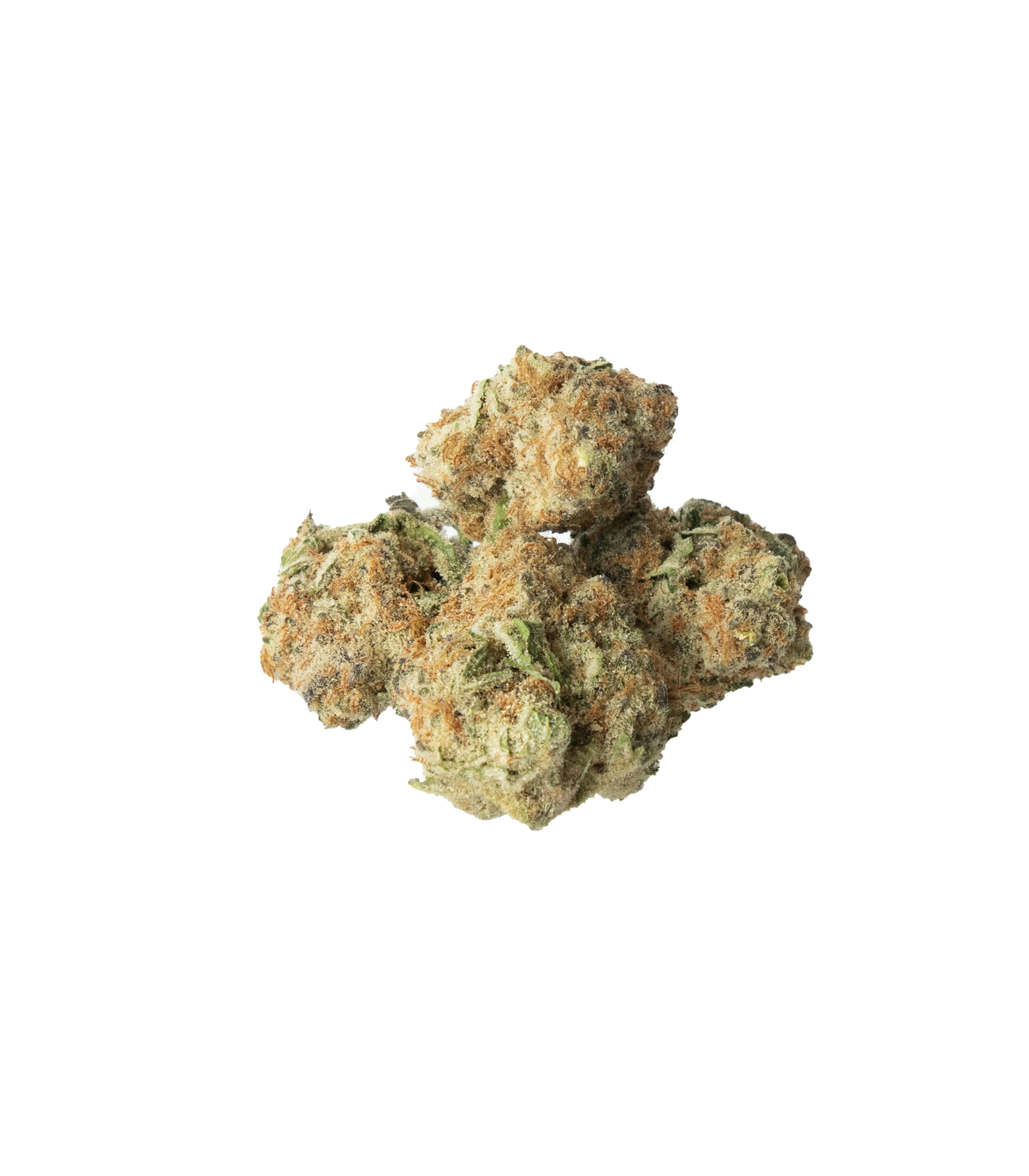 FLUENT Manhattan Rec