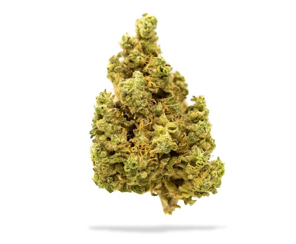 Product: Glorious Cannabis Co. | Gelateria | 3.5g