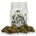 Phat Panda Platinum: Kush Mintz