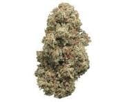 Product: Highway Horticulture | Root Beer MAC 14g Pack