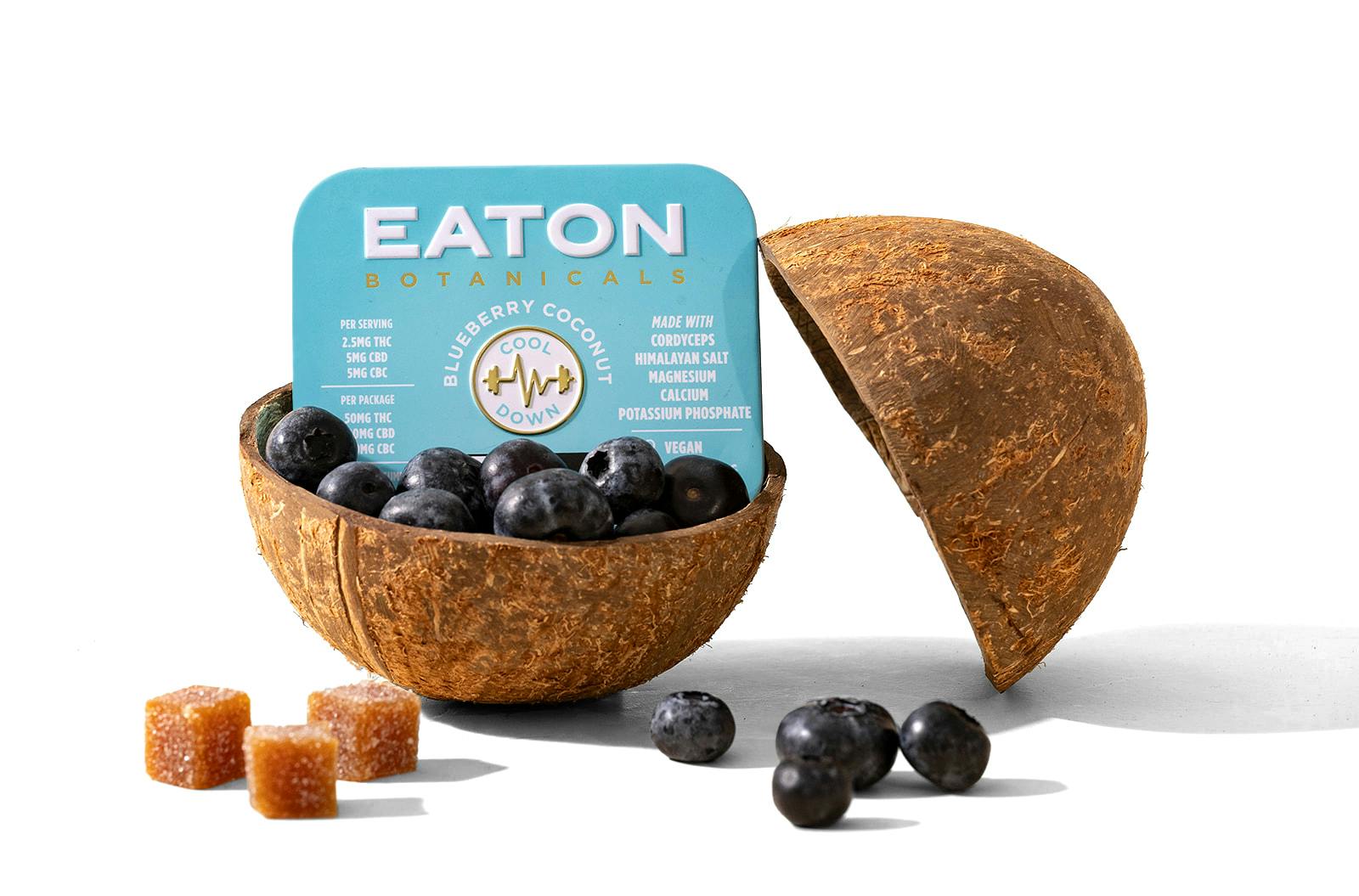 Eaton Cool Down | 20ct Blueberry Coconut | 50mg THC per tin
