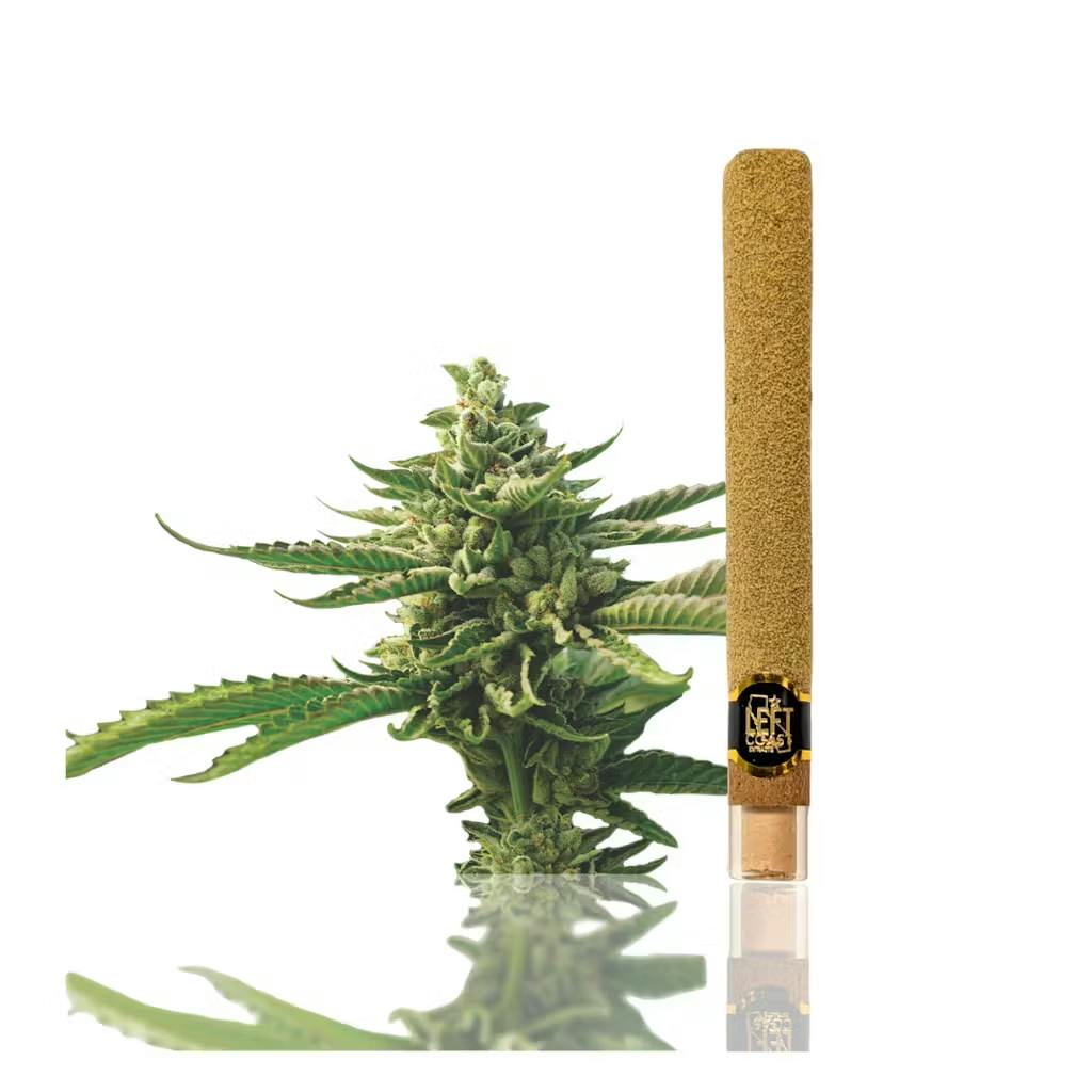 Left Coast - 2g Infused Blunt - Strawberry Banana