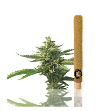 Left Coast - 2g Infused Blunt - Strawberry Banana - PRE_ROLLS by Left Coast at King of Budz