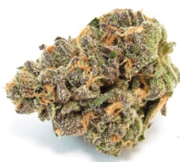 Product: Diamond Dust | Common Citizen