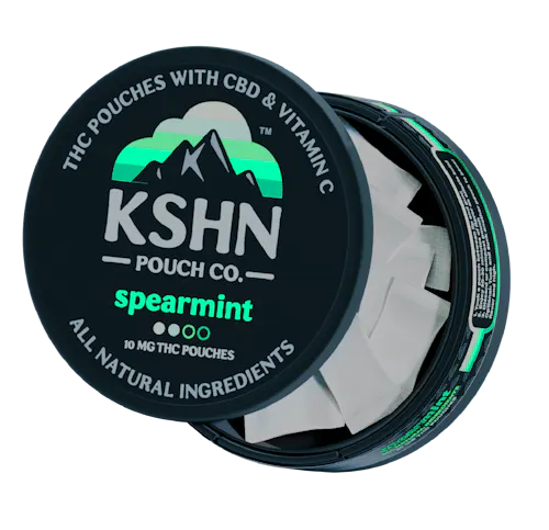 KSHN Pouch Co. | Spearmint 200mg THC Pouch (20-pack)-1
