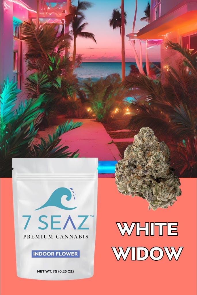 White Widow Flower | Hybrid | 7 Seaz