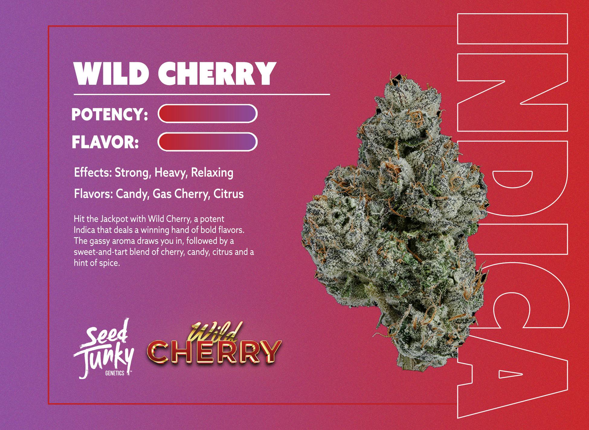 Seed Junky - 1g Preroll - Wild Cherry